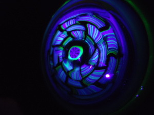 DSC06756